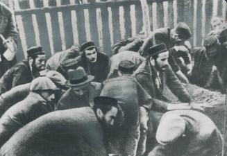 These European Jews were but a few of the millions persecuted in the holocaust of World War II