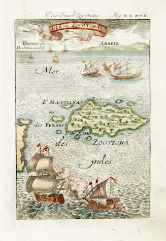 Isle de Zocotora/Die Insel Zocotora