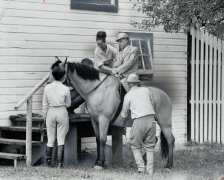 He rides to walk, Partially paralyzed by a stoke, Alexander Leishman sits on Nancy, a specially trained horse, while saddle is adjusted. He is one of (...)