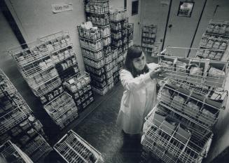 Assistant lab manager Pierette checks the supply of blood stored in the Toronto Blood Centre's refrigerator