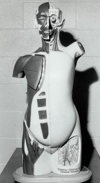 Bionic Man
