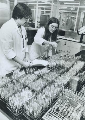 Mr Peter Yasunobu and Miss Maxine Wodmeyer sorting specimens for further testing