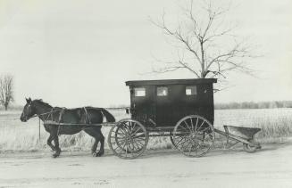 Horsepower means horsepower to the Old Order Amish, the 'plain people' who travel in black buggies, farm with horse-drawn plows, use wood-burning stoves for heat and kerosene lamps for light