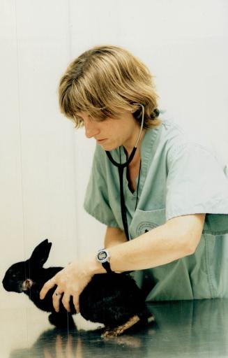 Emergency Clinic Claire Follows