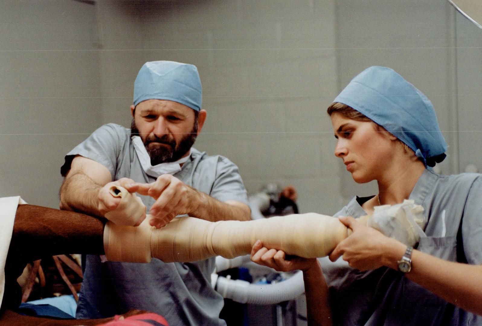 The Operation: Doctors drill one of three screw holes into the fractured cannon bone, left, before the foreleg is wrapped to minimize the blood flow