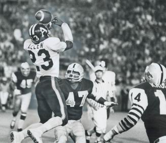 Eric Allen, Argos' wide receiver, leaps and misses pass thrown by quarter back Joe Theismann as Hamilton Ticat linebacker Larry Brame watches in last (...)
