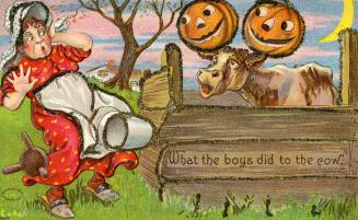 What the boys did to the cow