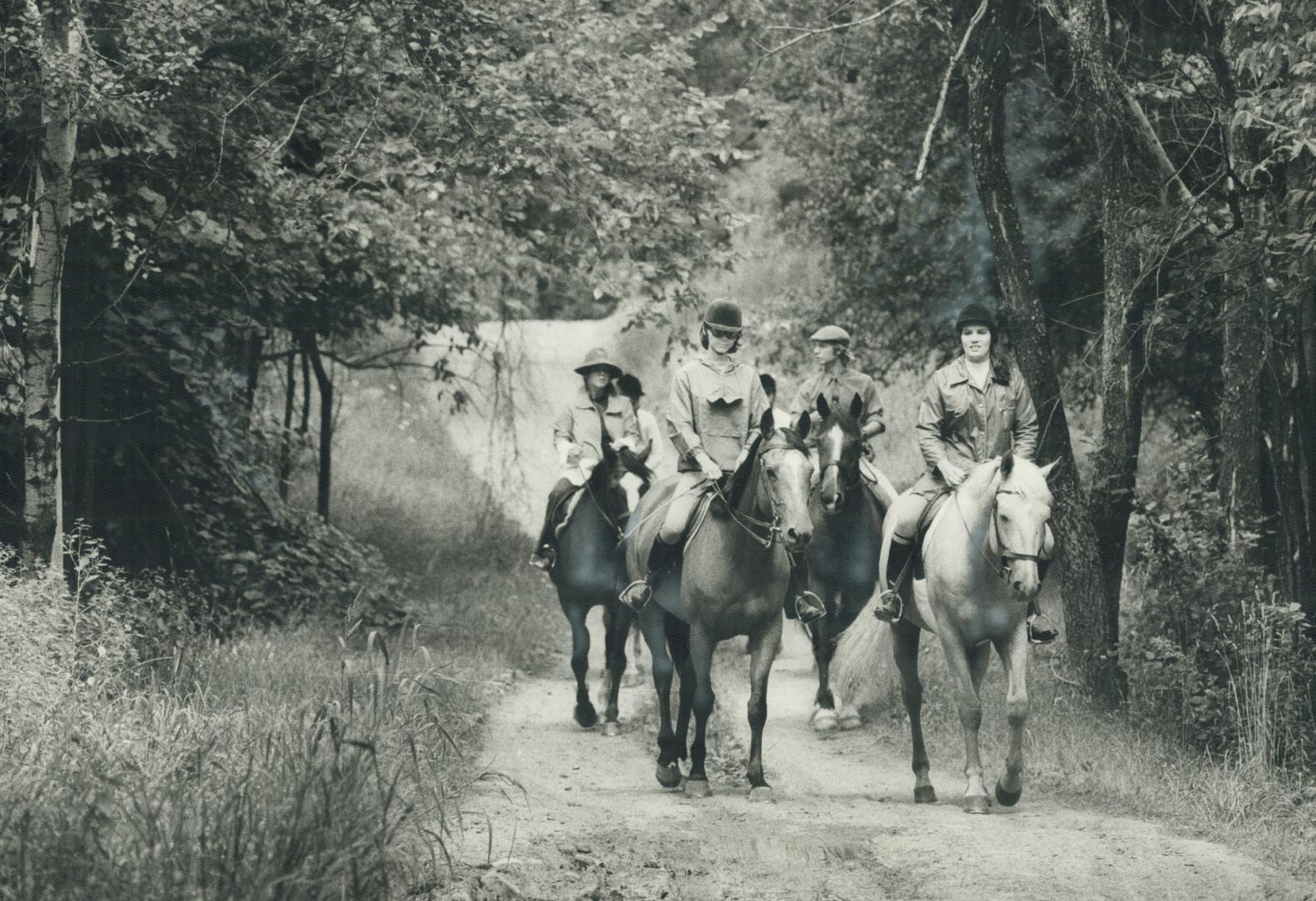 Horseback riders yesterday tried out the 200-mile Great Ridge Trail, which stretches from the Trenton area in the east to Campbelleville area in the w(...)