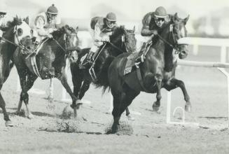 Sports - Horses - Race - Named - (P) 1 of 2 files