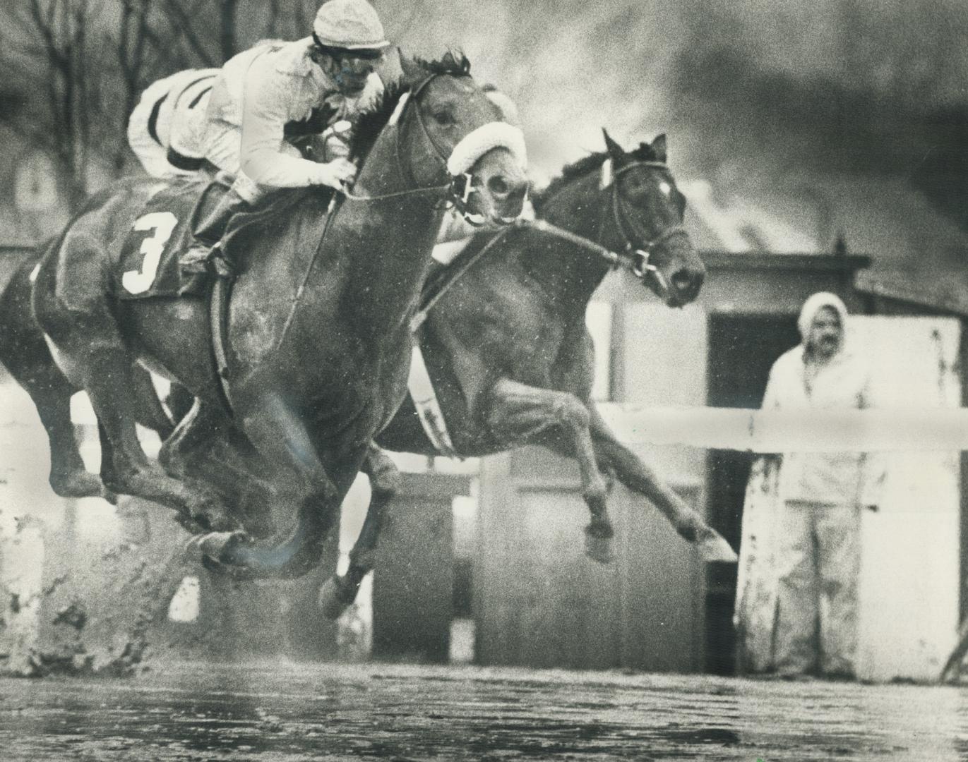 Flying hooves in Greenwood stretch