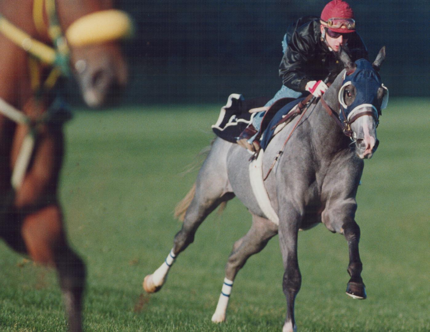 Jockey Mickey Walls takes Izvestia for a workout  before Rothmans International at Woodbine