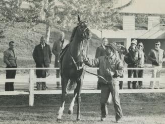 Sports - Horses - Race - Named - Secretariat