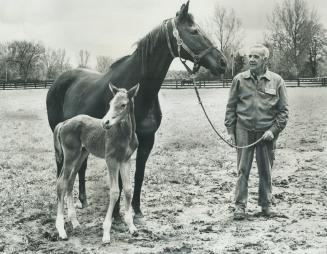 Secretariat Foal stays close to mommy