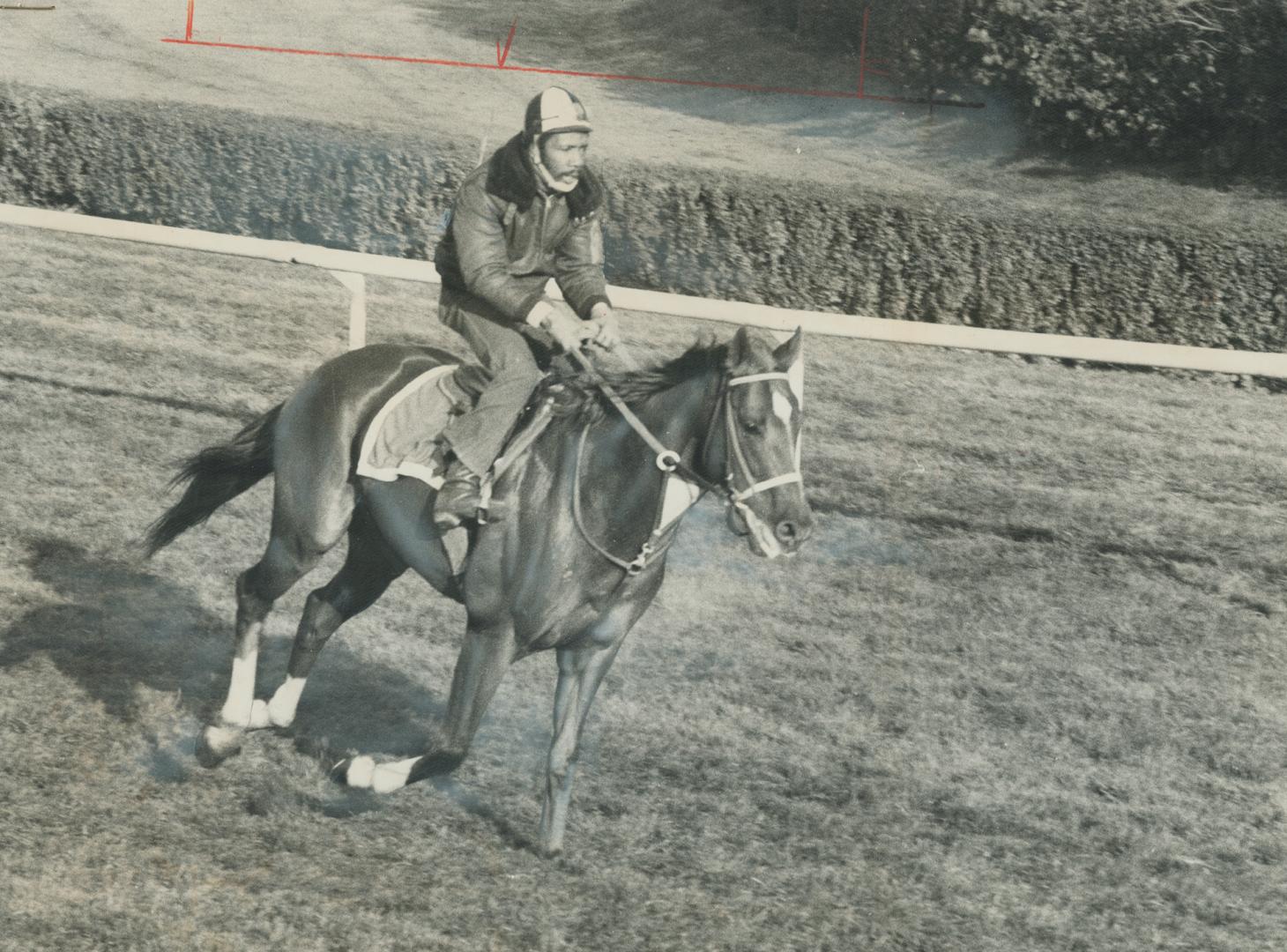 Exercise boy George Davis takes Secretariat for a gallop at Woodbine