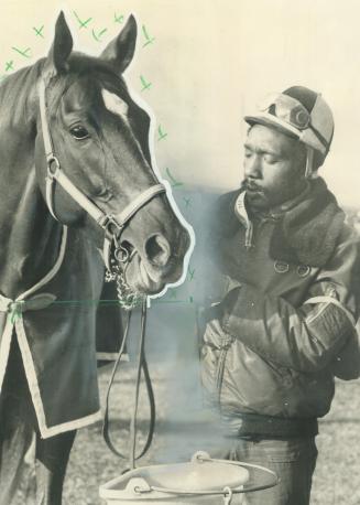 Over 6,000 spectators, who showed up at Woodbine racetrack this morning to watch Triple winner Secretariat