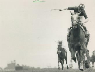 Stamp of approval: Jockey Don Seymour waves his whip in triumph as With Approval hits the finish line an easy 71/2-length winner in the Breeders' Skates yesterday