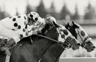 Dance on Deck (8) and Spanish Kingdom (9) race neck and neck at finish of the fifth race yesterday