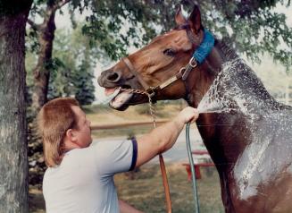 Ahhhhhhhhh! It's become a familiar sight at Woodbine