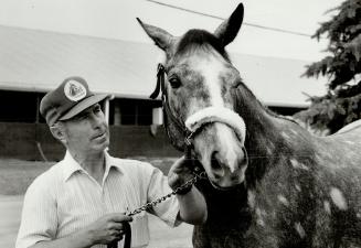 Now a gray