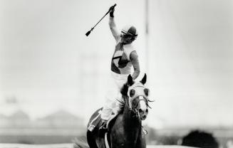 Whipped: Daniel David strikes a victory pose but his horse, Sunshaft, was well beaten in Breeders'