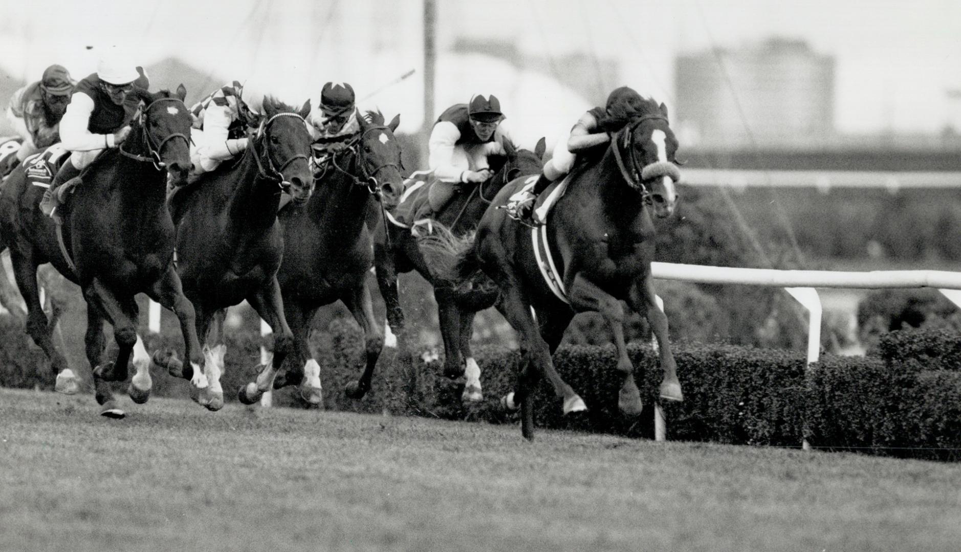 Never in doubt: Pat Day pilots Sky Classic (on Rall) to a one-length victory in stakes and course record time of 2:27 4/5 in yesterday's international clash