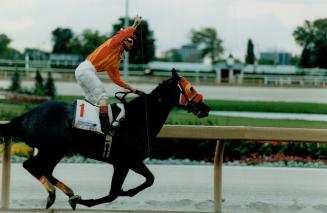 Sports - Horses - Race - Named - (S-SL)