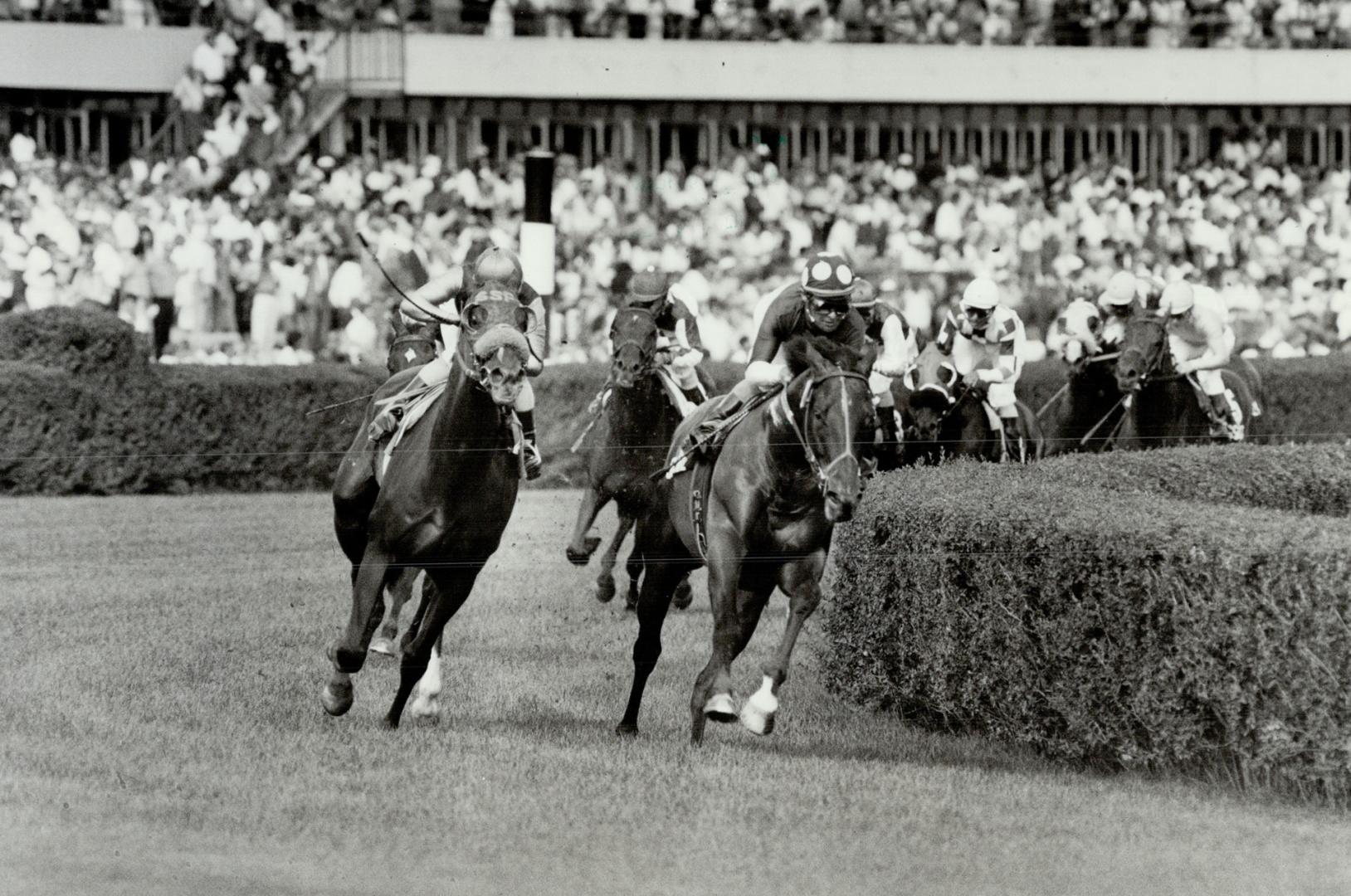 Million-Dollar kick: Dance Smartly, left, turns on the afterburners and roars past Shudanz on the way to an eight-length victory and a $1 million bonus in the Breeders' Stakes yesterday at Woodbine