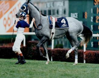 Jockey Mickey Walls walks Izvestia away from the track after the 1990 Canadian Horse of the Year and Triple Crown winner broke a leg during the Rothma(...)