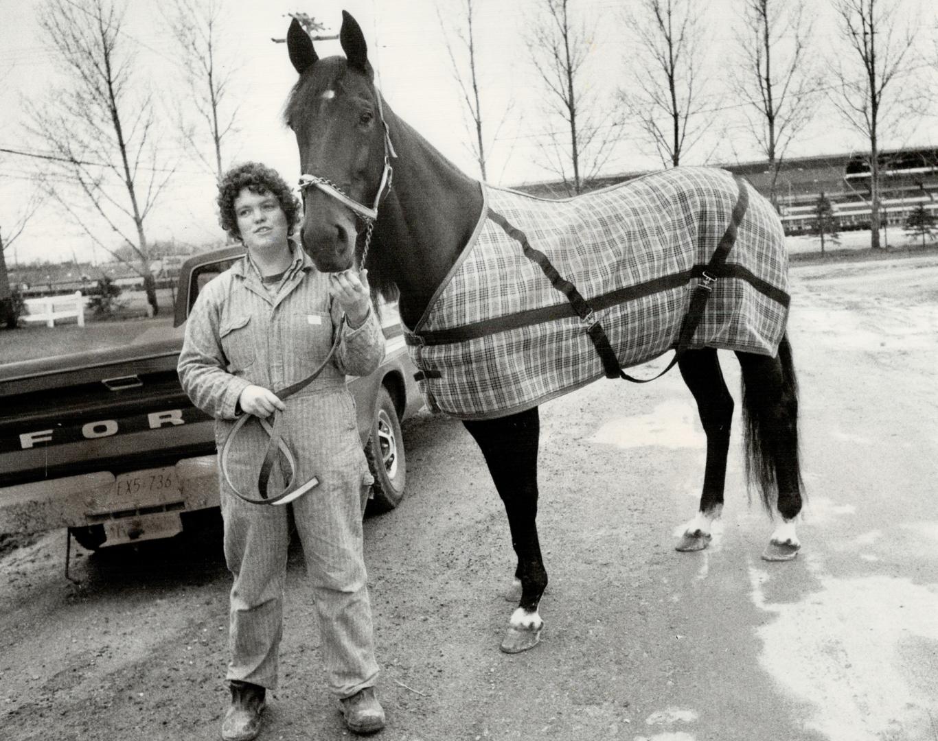 The greatest. Niatross is safely ensconced at Greenwood race track, awaiting what might be his final race, Saturday afternoon. The horse will pass the(...)