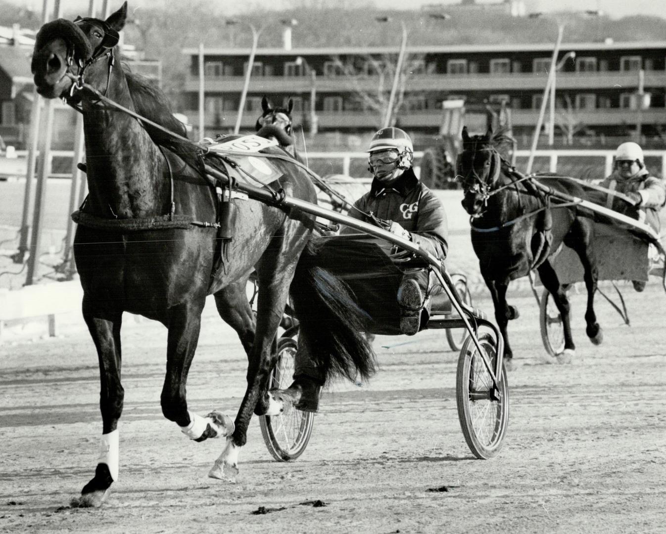 A priceless race horse, Niatross