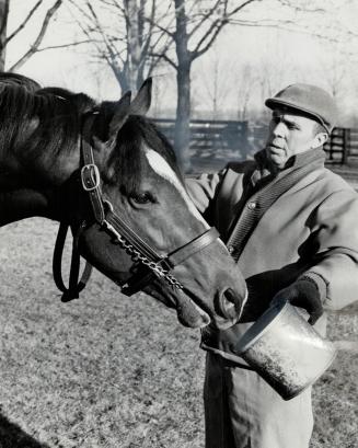 What does a horse get on it's birthday - an extra ration of oats, naturally