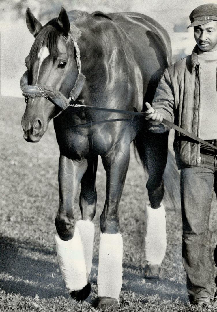 Secretariat's groom, Eddie Sweat, has looked after Triple Crown winner 12 to 14 hours a day for two years and he's proud of his job, but he admits he (...)