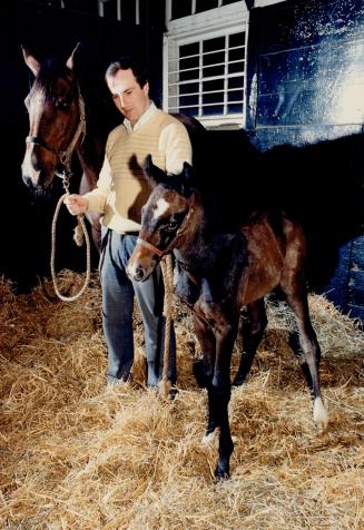 Leggy foal. Windfields Farms general manager Bernard McCormick is flanked by Northern Sea and her 2-day-old foal Bay Filly. the Oshawa racehorse farm (...)