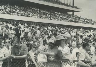 Sports - Horses - Race - Races - Queens Plate (1965-1966)