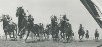 Sports - Horses - Race - Races - Queens Plate (1968)