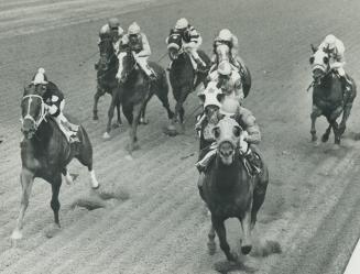 Sports - Horses - Race - Races - Queens Plate (1971)