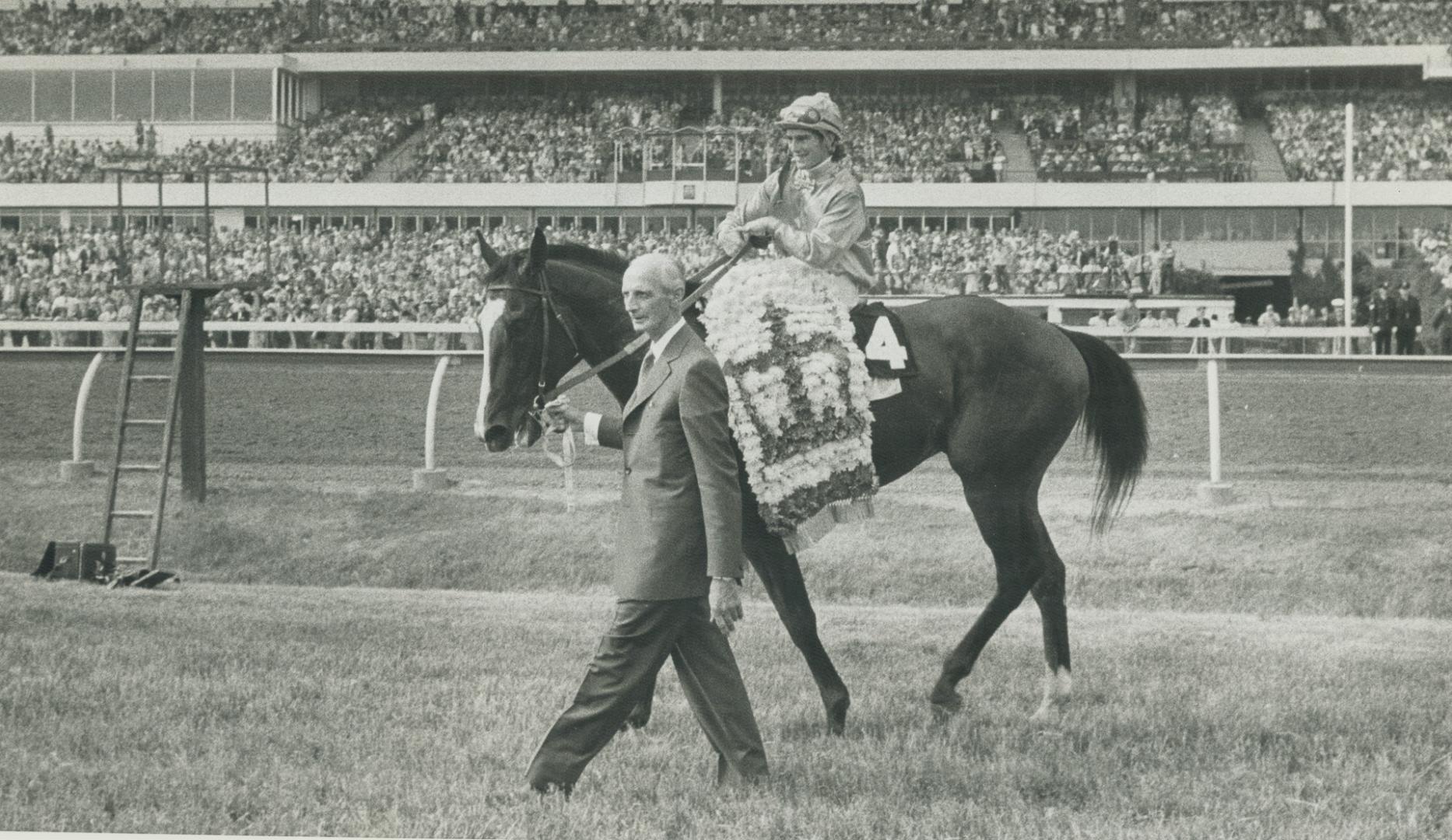 The big three. The combine that won the Queens Guineas parade past the stands as trainer J.C. Bentley leads Kennedy Road with jockey Sandy Hawley up