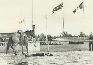 Sports - Horses - Race - Races - Queens Plate (1974-1978)