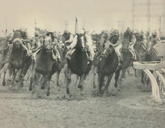 Sports - Horses - Race - Races - Queens Plate (1980-1981)