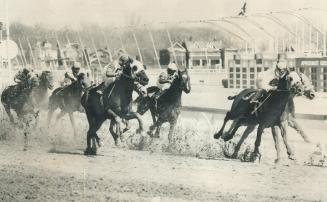For early lead in third race at Greenwood race-quaterback yesterday, Golden Tub, ridden by Jeff Fell, is neck and neck unidentified horse. Behind them are Brief Storm (4) and Skylab (9). [Incomplete]