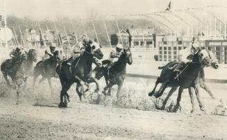 For early lead in third race at Greenwood race-quaterback yesterday, Golden Tub, ridden by Jeff Fell, is neck and neck unidentified horse. Behind them are Brief Storm (4) and Skylab (9). [Incomplete]