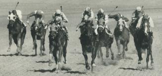 Charge for home. Ain't No Saint, third from right, with Paul Souter up, leads the charge home in third race at Greenwood yesterday. She won the 4 1/2 (...)