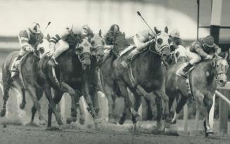 Sports - Horses - Race - Racing - Action (1980-1988)