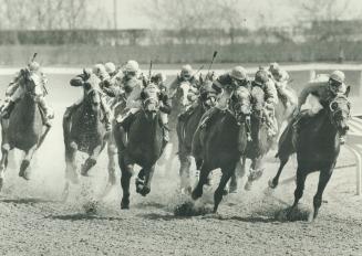 Woodbine racing