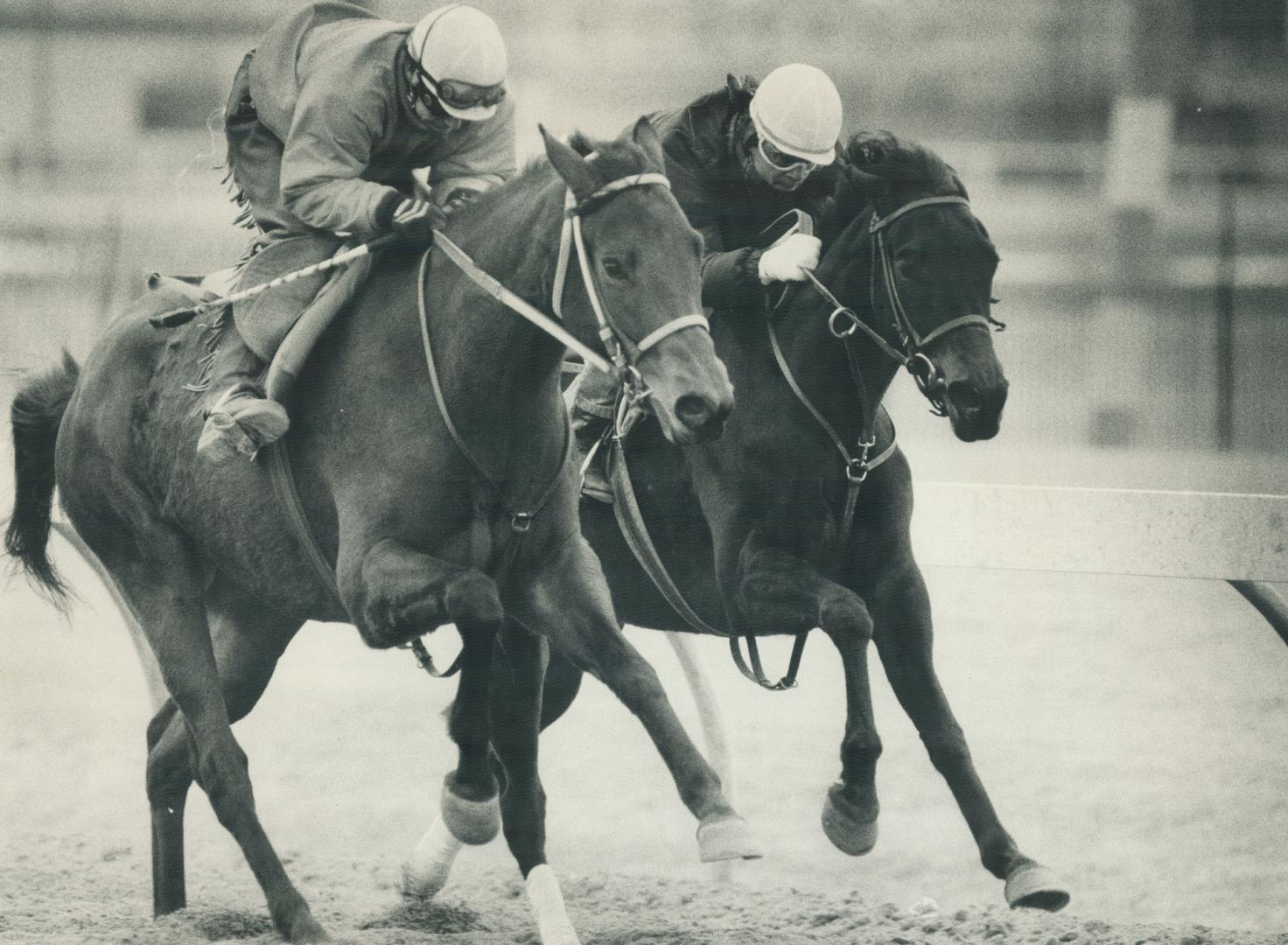 Each morning for the past seven weeks, nearly 1,000 horses have been galloping and sprinting around the Woodbine training track in preparation for tom(...)