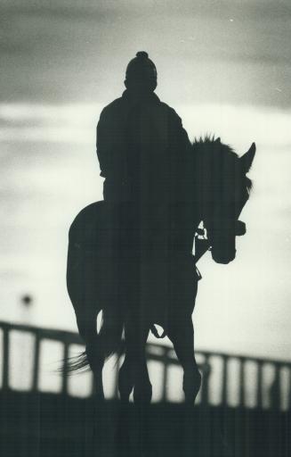 Sports - Horses - Race - Racing - Misc