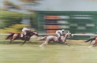 Sports - Horses - Race - Tracks - Fort Erie