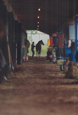 Sports - Horses - Race - Tracks - Fort Erie