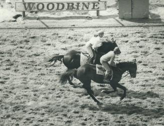 Sports - Horses - Race - Tracks - Woodbine (1980)