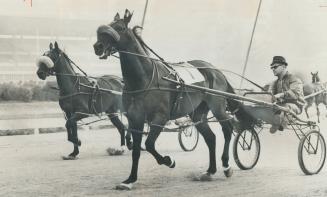 Bret Hanover world's richest pager, takes a morning constitutional